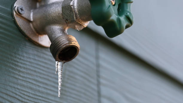 Best Leak Detection Services  in Prophetstown, IL