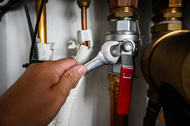 Best Sewer Line Repair  in Prophetstown, IL
